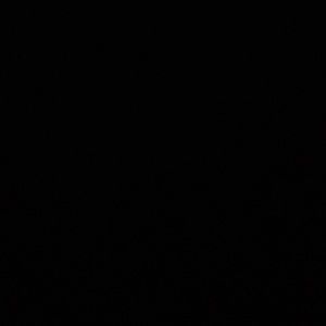 Meet your Posher, Lanette